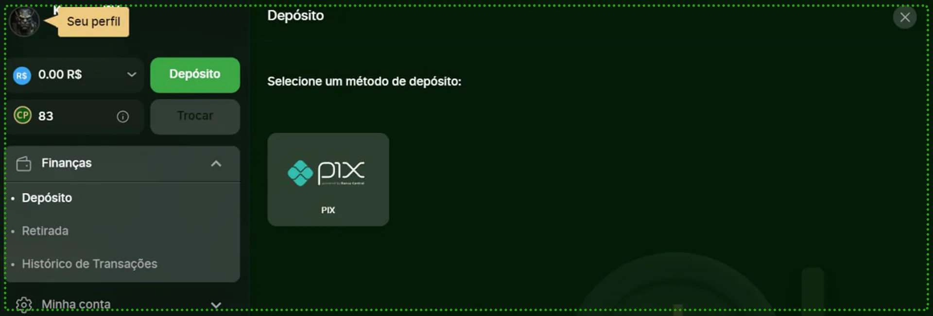 Riobet e finanças